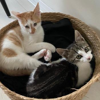Yordi en Immie
