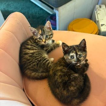 Umi en Ula