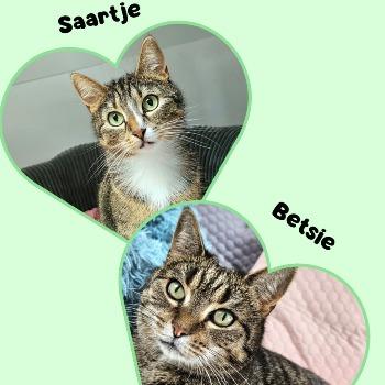 Betsie en Saar