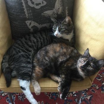 Delia & Vinnie