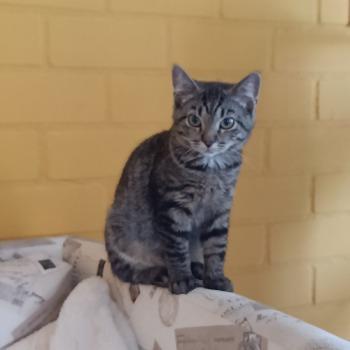 Tuc (met Mia)