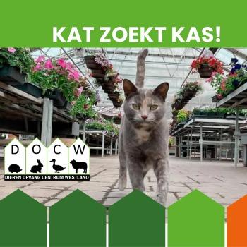 Muizenvangers voor in de kas