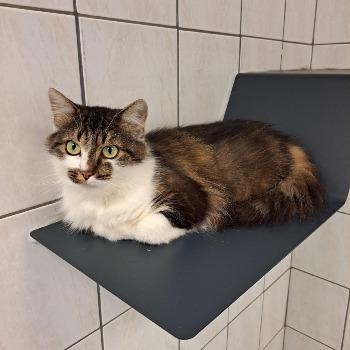 Tina 