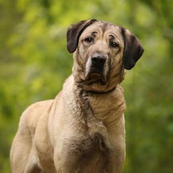 Emina (verblijft in Noord-Brabant)