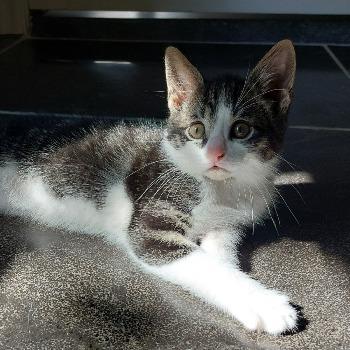 Boris (met Florence)