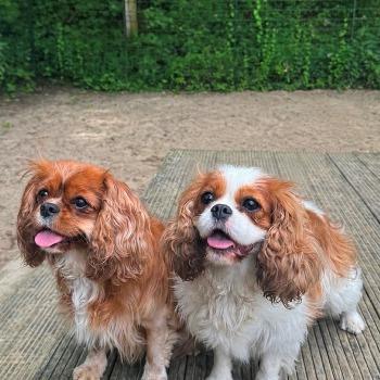 Olivia en Stacey