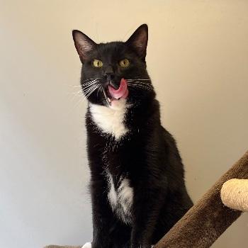 Sam
