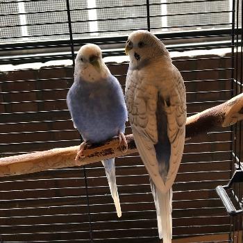 berry+ stormy