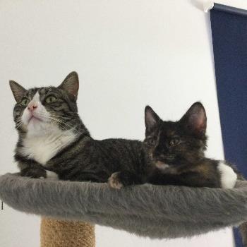 Delia & Delores