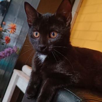 Mia (met Tuc)
