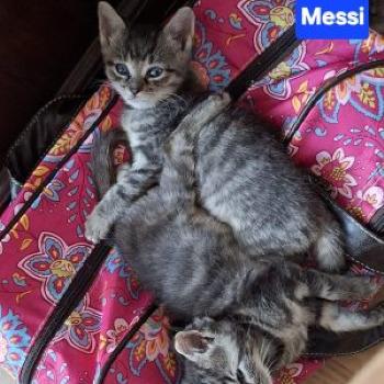 Messi en Marre