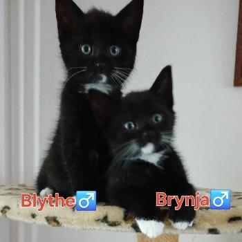 Foto van Brynja en Blythe
