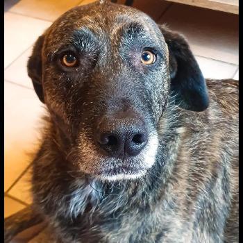 Bruce - URGENT