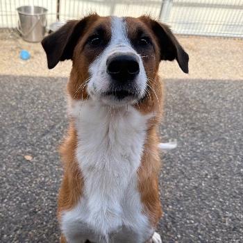 Milo