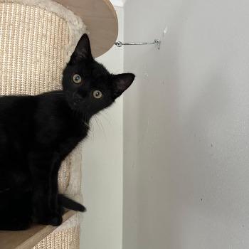 Inky (en Larsina)