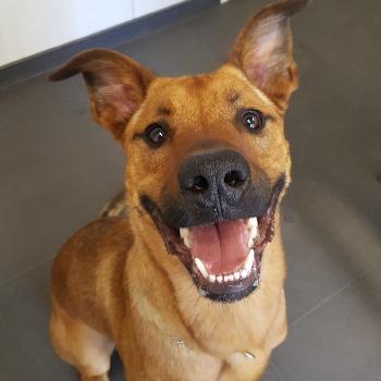 Max