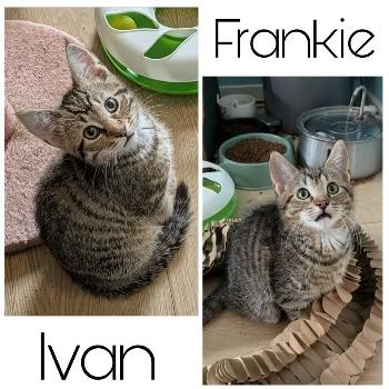 Ivan en Frankie