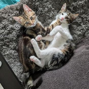 Cassave en Boetje
