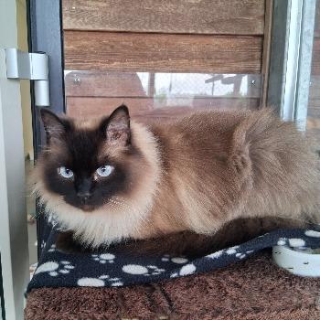 Milo