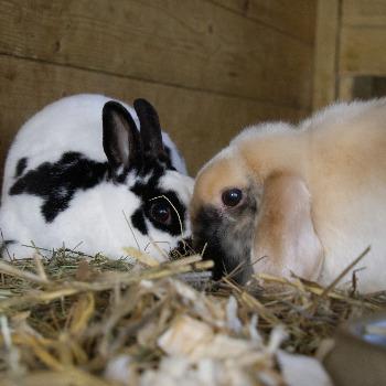 Pablo & Marise