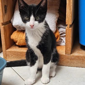 Pierre (met Maru)