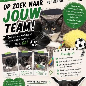 frenkie
