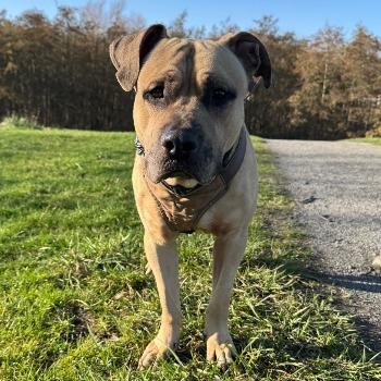 Marley 