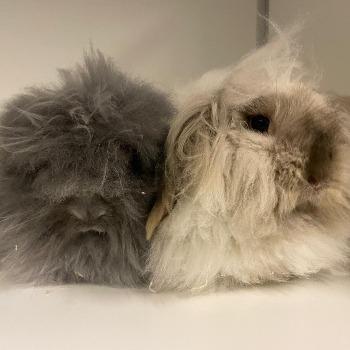 Saskia & Serge
