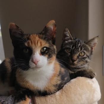 Aïka & Echo