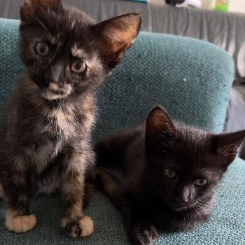 Kyra en Kai