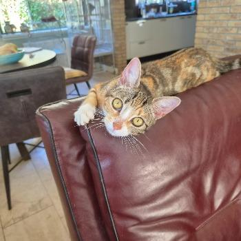 Zita