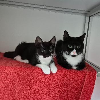 Dottie & Zipper