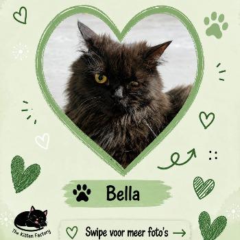 Bella