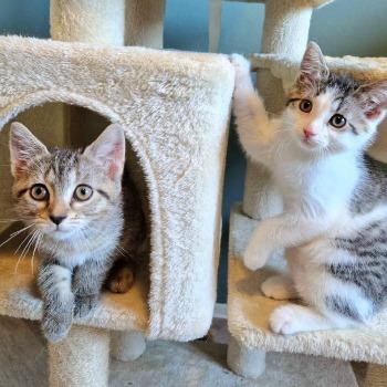 Skye en Sally