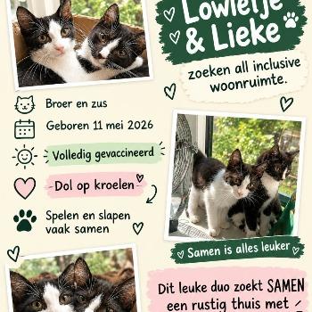 Lieke en Lowieke