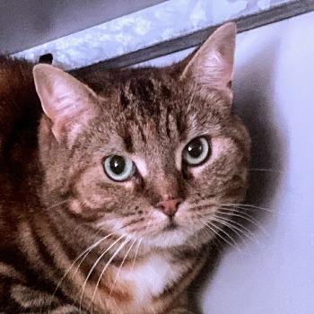 Mimi