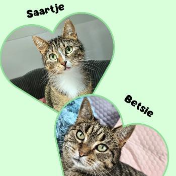 Betsie en Saar