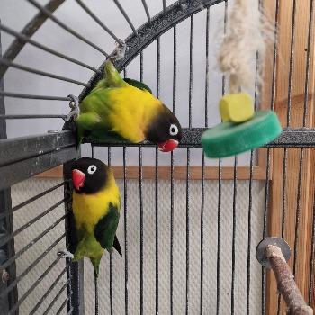 Foto van Jip en Janneke
