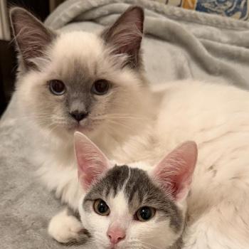 Xavier & Tina
